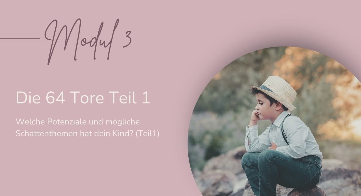 Titelbild Modul 3 Level 2